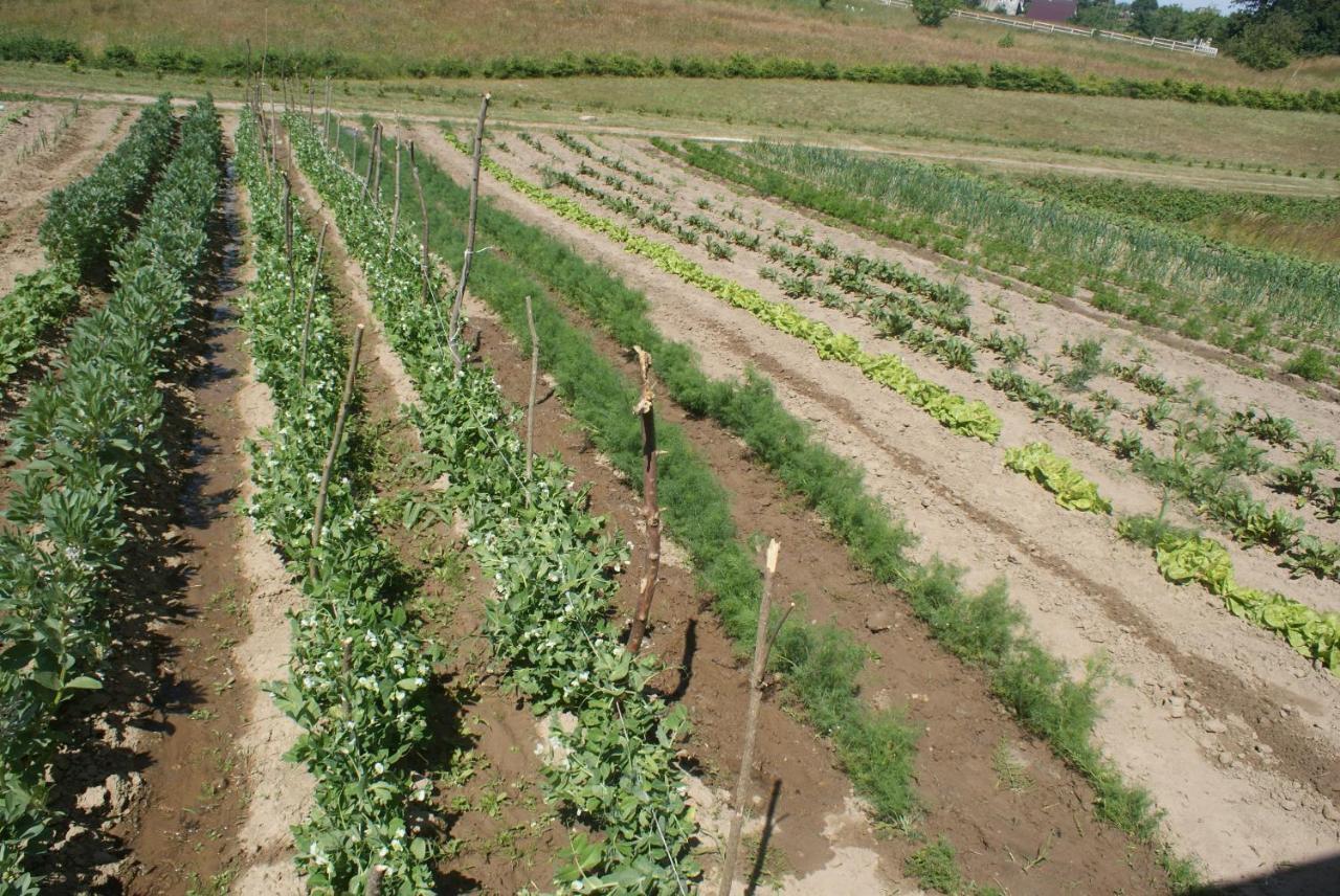 Gardna Wielka Agrodomki Okej-Bialy Dom מראה חיצוני תמונה
