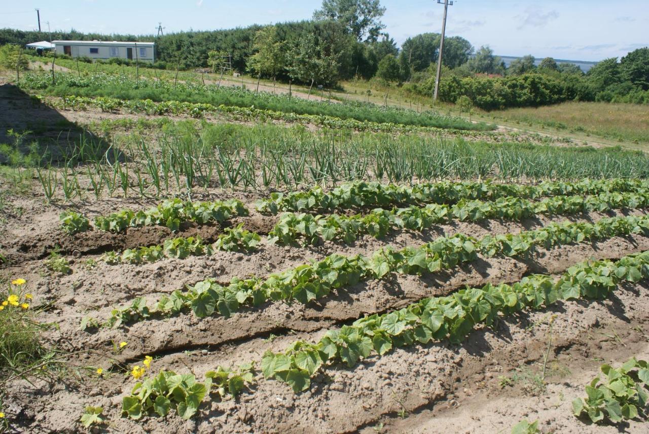 Gardna Wielka Agrodomki Okej-Bialy Dom מראה חיצוני תמונה
